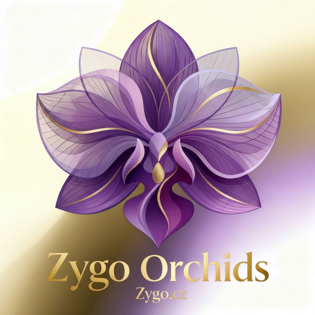 Exotická orchidej Zygo.cz