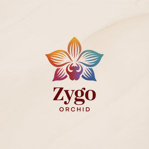 Zygo.cz